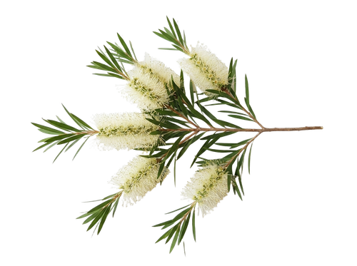 e1d655d9eab4.png
