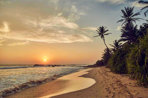 weligama2.jpg