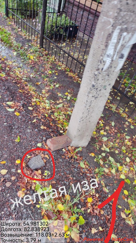6aad47aa50265.jpg