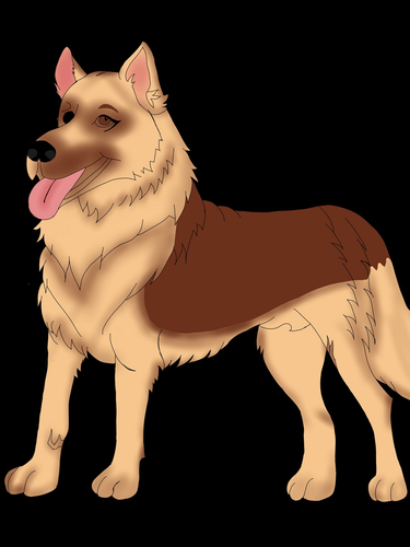 image 20.png