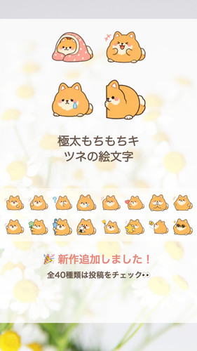 ad43b6a362d0.jpg