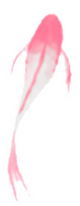 微信图片 20260919031456 483 164.png