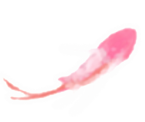微信图片 20260919031456 482 164.png