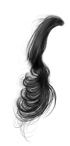 IMG 2532.png
