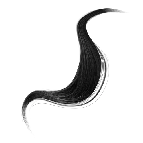 IMG 2534.png