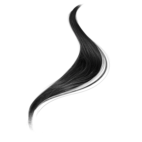 IMG 2533.png