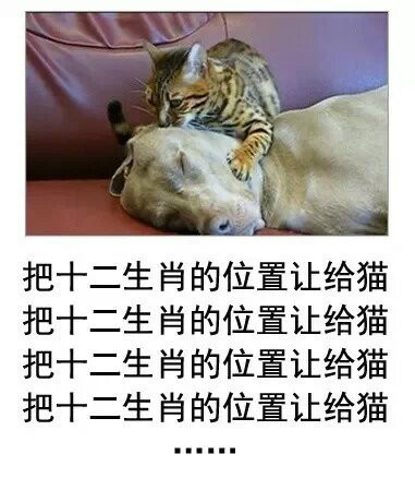 00019 c147ca89a5bc18589de90900 01.jpg