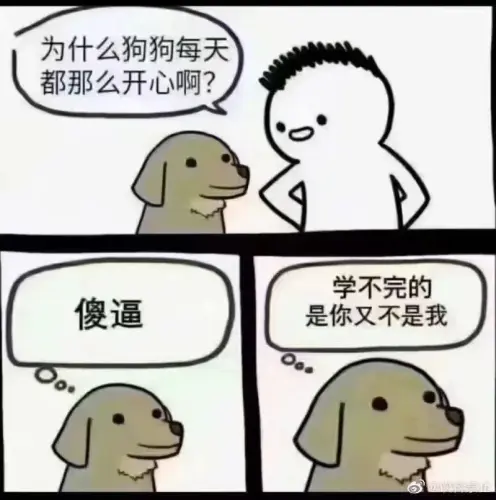 03232 c147ca89c9eeb55f5b700200 01.webp