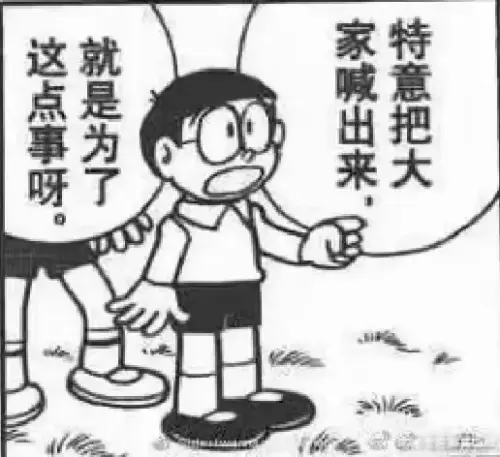 03208 c147ca897d38945fe4270b00 08.webp