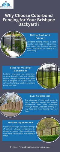 Why Choose Colorbond Fencing for Your Brisbane Backyard.jpg
