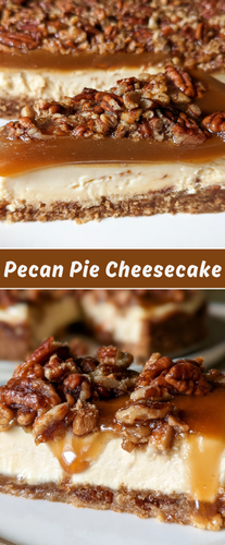 Pecan Pie Cheesecake (3).png