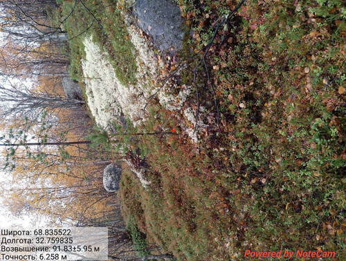 6aad2ced40963.jpg