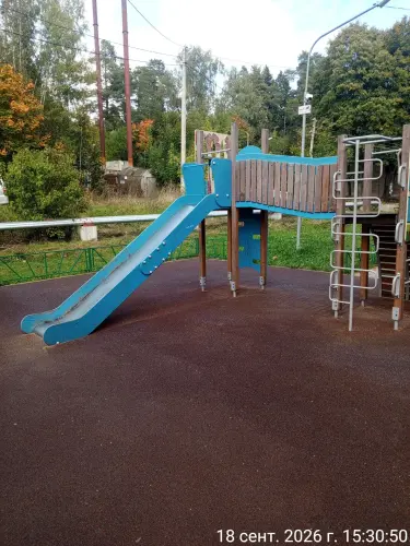 photo.webp