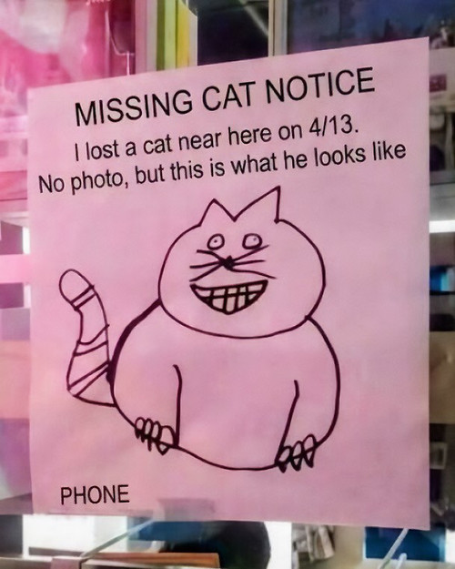3 6aa937e378f46 700.jpg