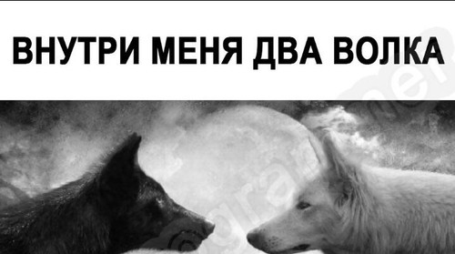 почка1.jpg