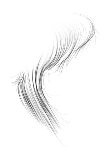 IMG 9264.png