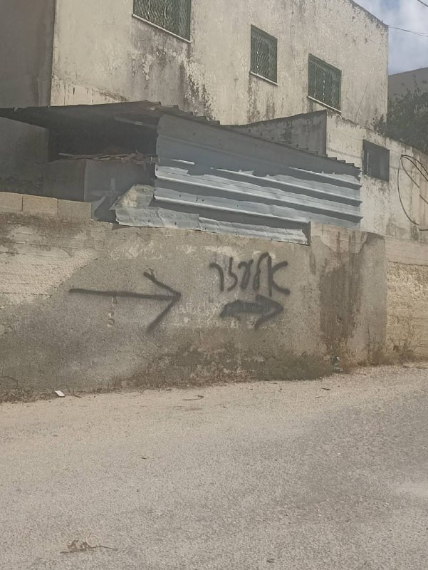 صورة الخبر