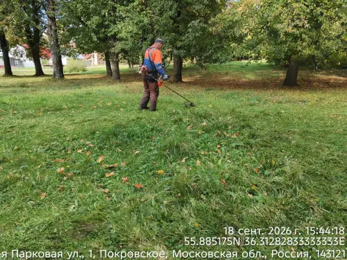 photo.webp
