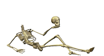 lsx12h10.png