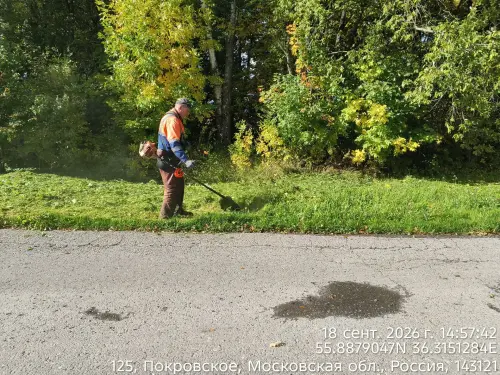 photo.webp