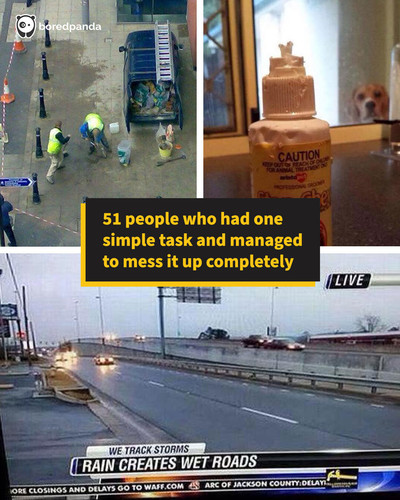 funny unhinged you had one job fails sharing.jpg