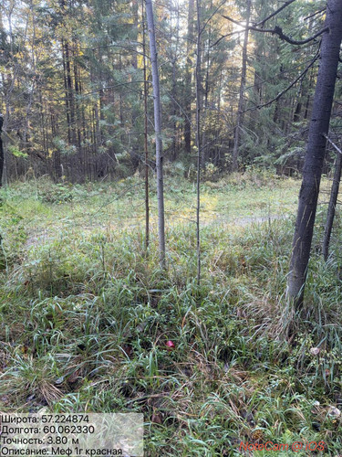 6aad338e7511d.jpg