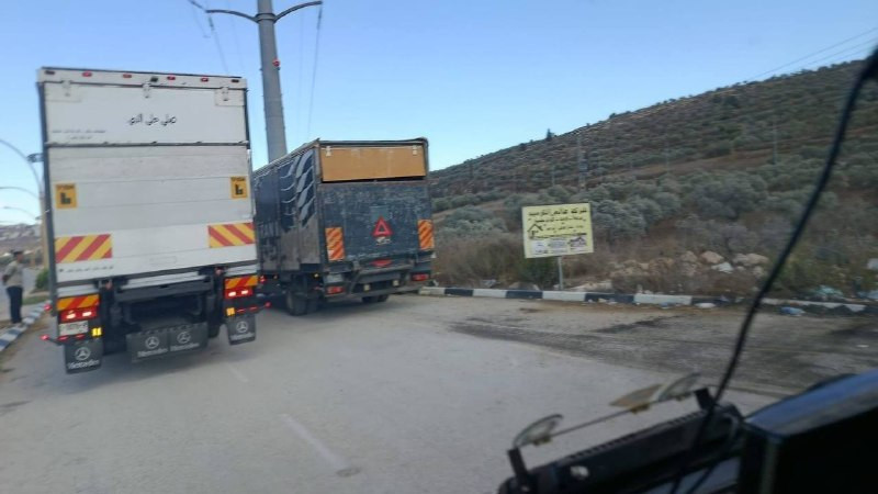 صورة الخبر