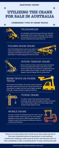 Utilizing the crane for sale in Australia.jpg