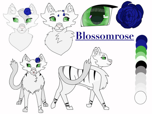 Blossom's Ref