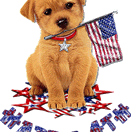 4th of july 1361680afo5t10cvs