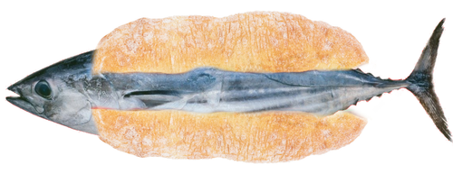 tuna sub2.png