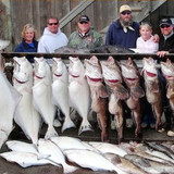 Catch Alaskan King Salmon -Alaska Halibut Fishing Charter.