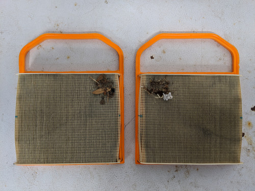 IMG 20190315 113847.jpg