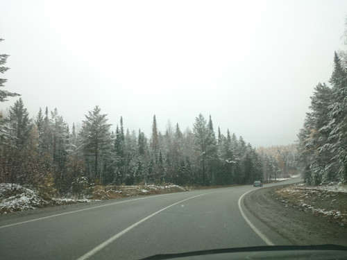 This is our "Spring". March 2019 O_o.jpg