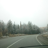 This is our "Spring". March 2019 O_o