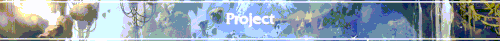 project2.gif