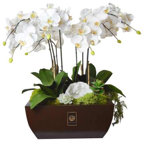 Richrose, the premium quality online gift and flower shop that offers indoor plant delivery in Dubai at an affordable price. We have an extensive range of indoor flower plants that you can order through online plant delivery in Dubai, UAE. Whether you want to add indoor flower plants at your workspace, house, or want to gift a friend who is a plant lover, we have a large range of options available for you. Keep your surrounding air clean and healthy with the help of keeping indoor potted plants in UAE. If you do exercise at home, indoor plants help you breathing nicely.

Visit: https://www.richrose.ae/plants