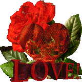 7pgt1seo7ue.gif