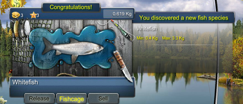 whitefishmax.png