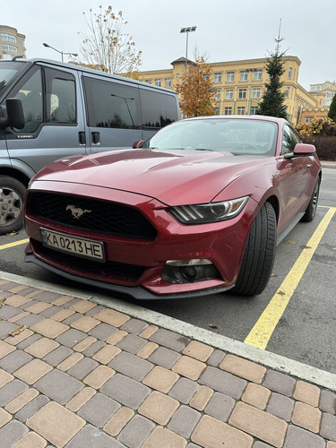 D0DE4735 9C76 49FD 9341 F68537FAF559.jpg