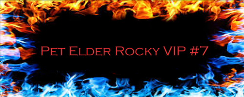 Pet Elder Rocky VIP #7.png