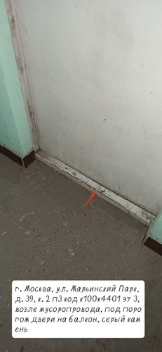 IMG 20221108 191109 981.jpg