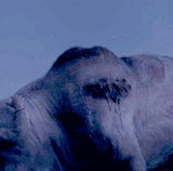 ezgif 4 3261894497.gif