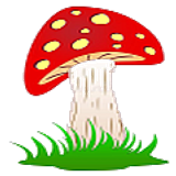toadstool2