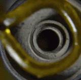 dab (1).gif