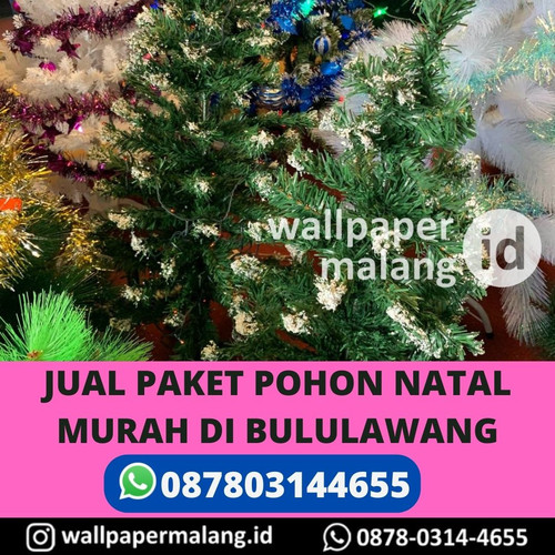 JUAL PAKET POHON NATAL MURAH DI BULULAWANG.jpg