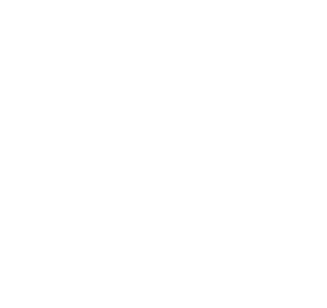 Behr Logo Black US s.2