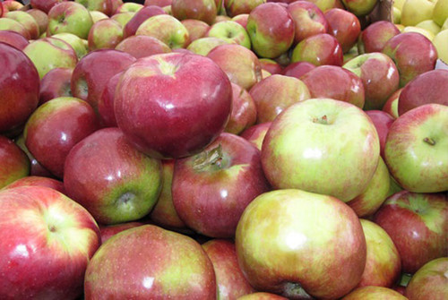apple macoun.jpg