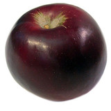 apple arkansas black