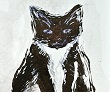 The Cat.jpg